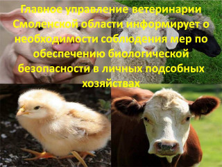 главное управление ветеринарии Смоленской области в соответствии с Решением Комитета Совета Федерации по аграрно-продовольственной политике и природопользованию сообщает - фото - 1